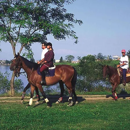 In 21790 Линьяно-Саббьядоро